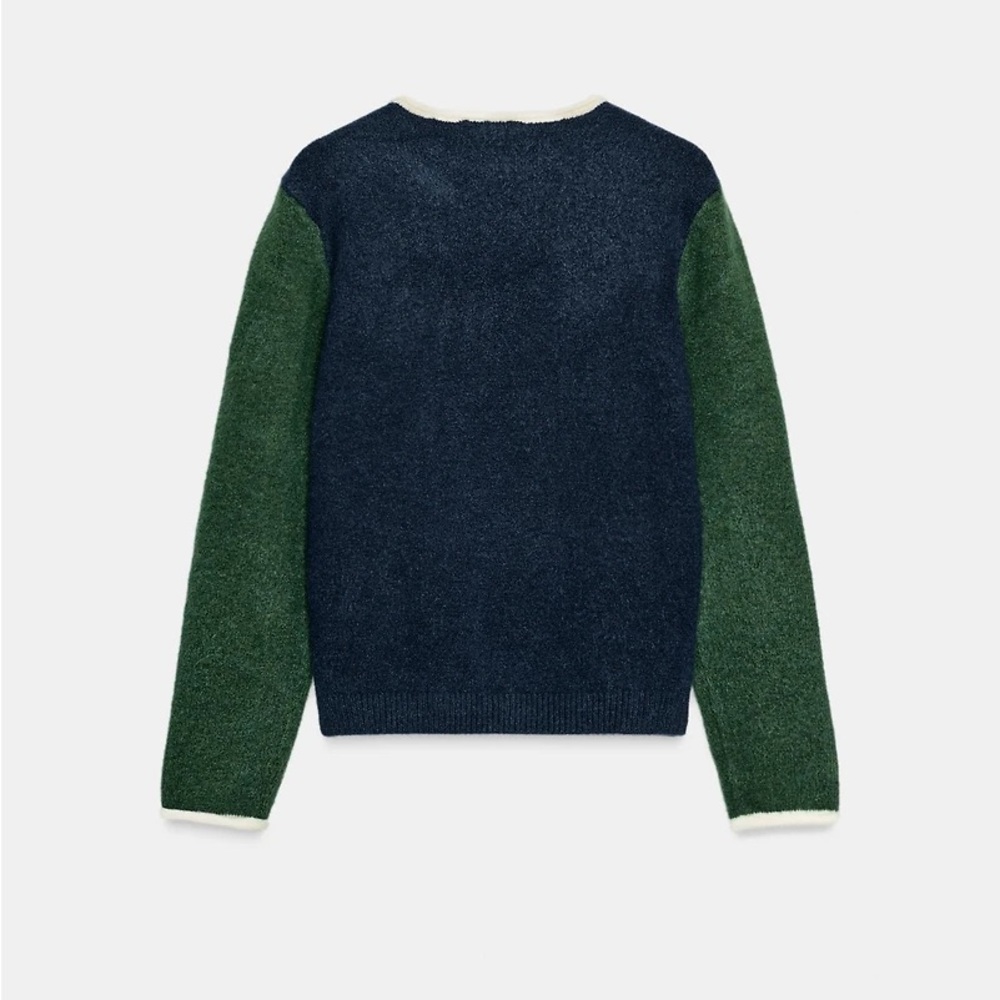 Zara Colorblock Navy and Forest Green Wool Crewneck Sweater - Picture 3 of 8